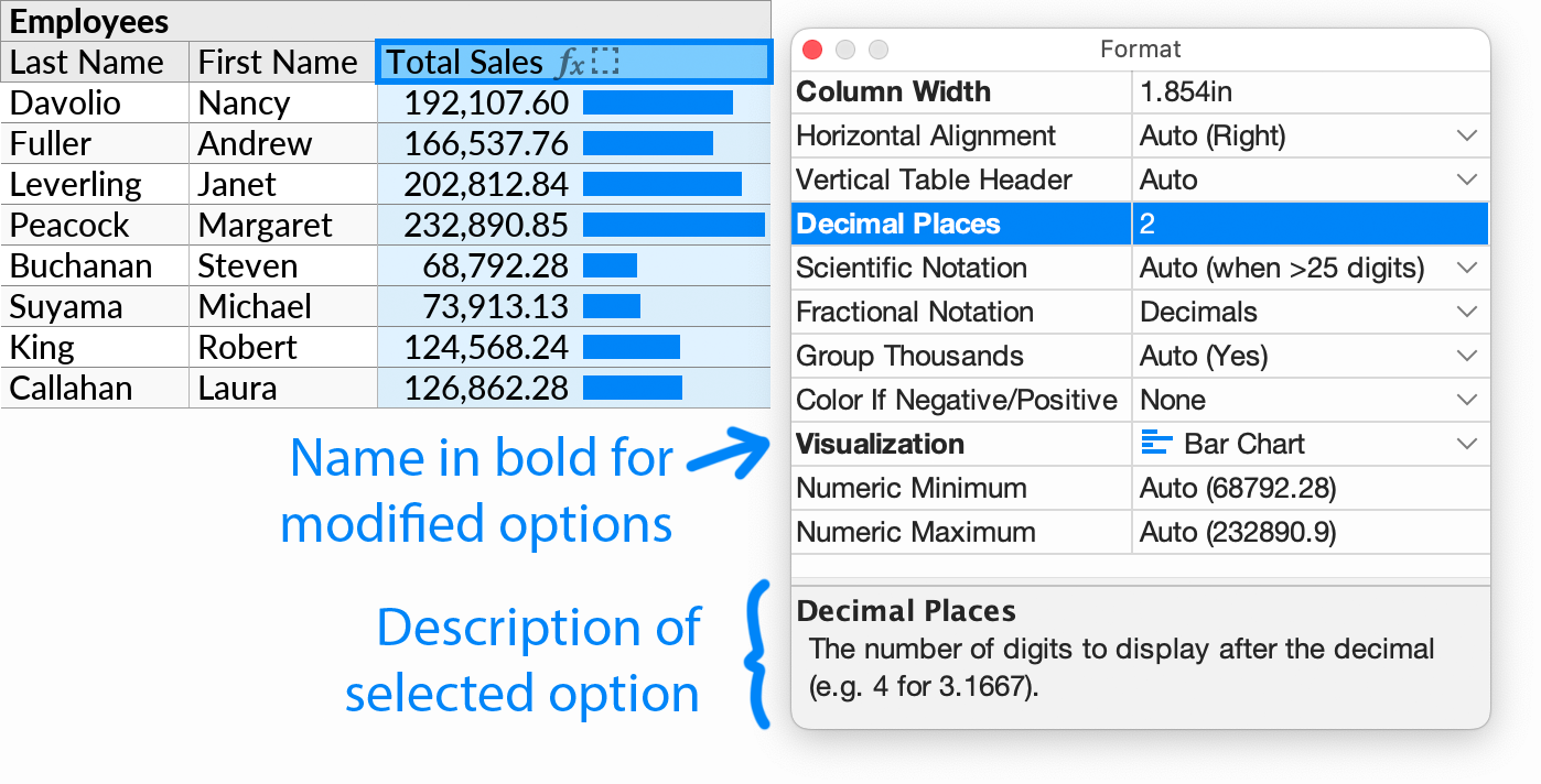 The Format popup, shown on a numeric field with some options modified. Modified options are shown with a bold name. A description is shown for the currently selected option.
