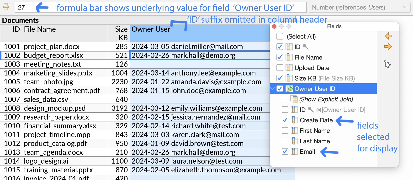 Checkboxes in the field selector popup, used to select fields to display in a compact join.