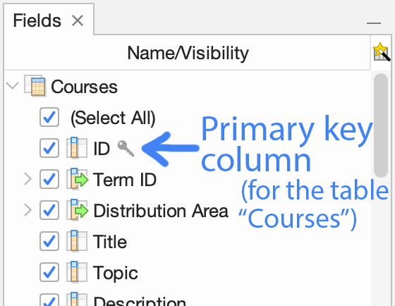 A table's primary key column indicated with a key icon next to the applicable field in the Fields sidebar.