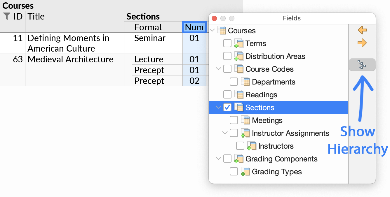 The Fields popup with the Show Hierarchy option enabled.