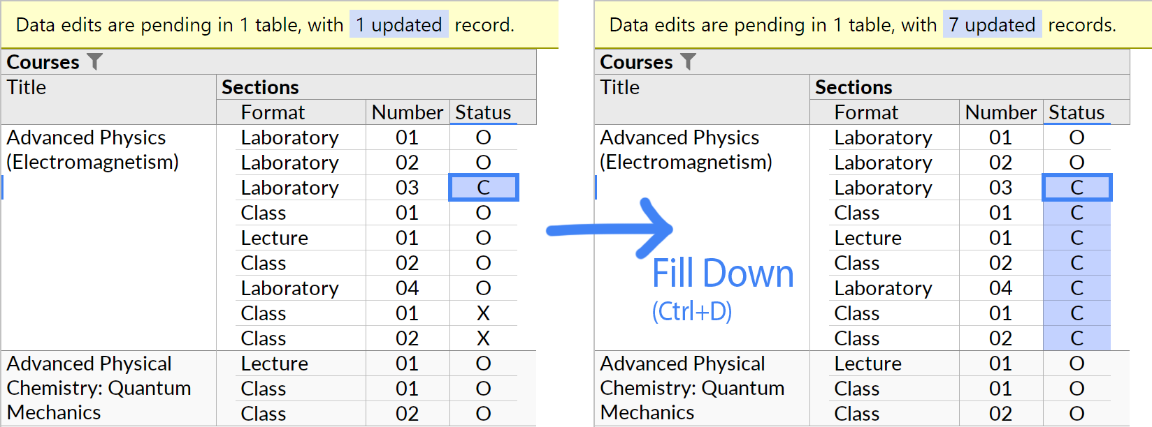 The Fill Down feature.