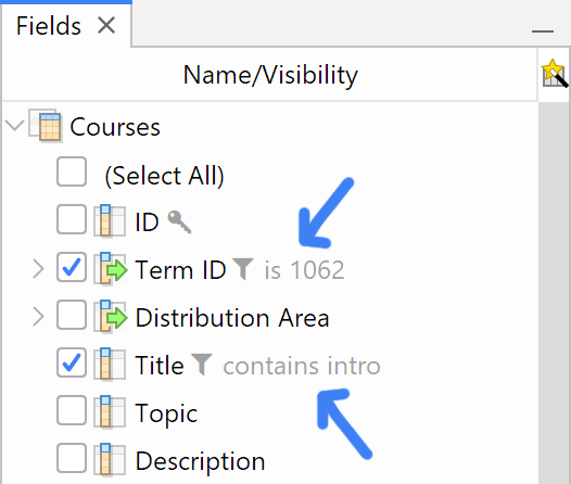 A summary of filter state being displayed next to field icons in the Fields sidebar.