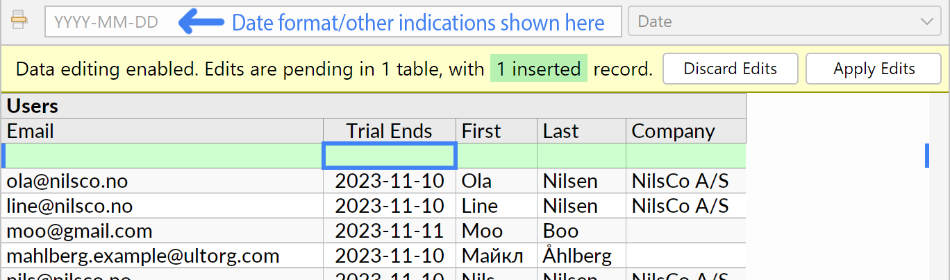 Greyed-out indication text shown in the formula bar, for example to show the expected format of entered date values.