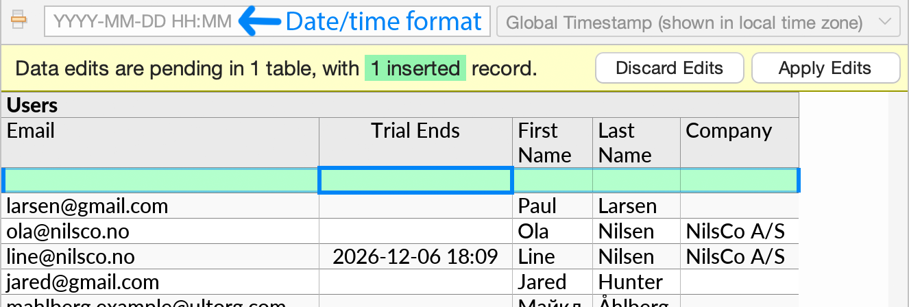Greyed-out indication text shown in the formula bar, for example to show the expected format of entered date or timestamp values.