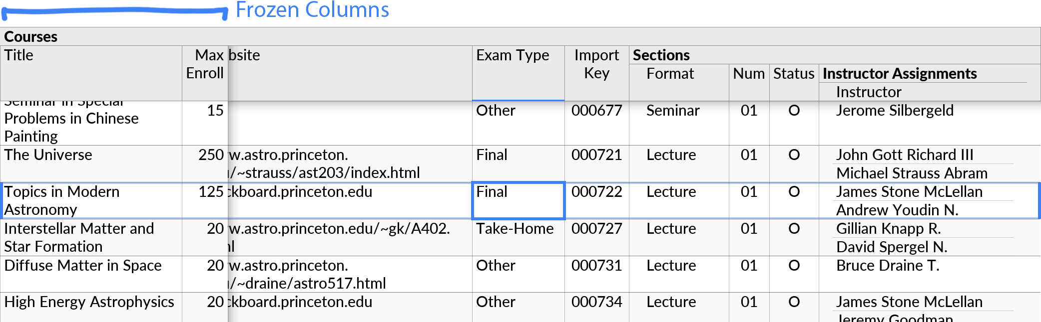 Two frozen columns in a wide table layout that has been scrolled down and to the right.